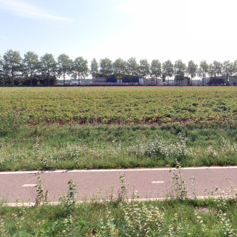 Met het aanbrengen van meer groen kan een bedrijventerrein biodiverser worden en bijdragen aan de klimaatadaptatie.