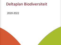 Het deltaplan biodiversiteit is een biodiversiteitsbeleid wat Beewilding gemaakt heeft voor meer natuur in het agrarisch landschap.