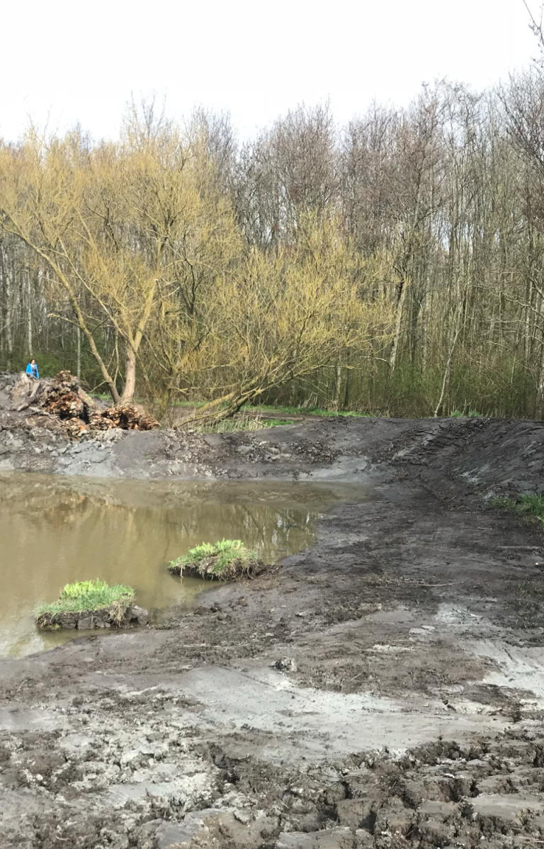 Een natuurvriendelijke oever zorgt voor nieuw leefgebied voor vele soorten bijen, vlinders, zoogdieren, vogels en amfibieën in de gemeente.