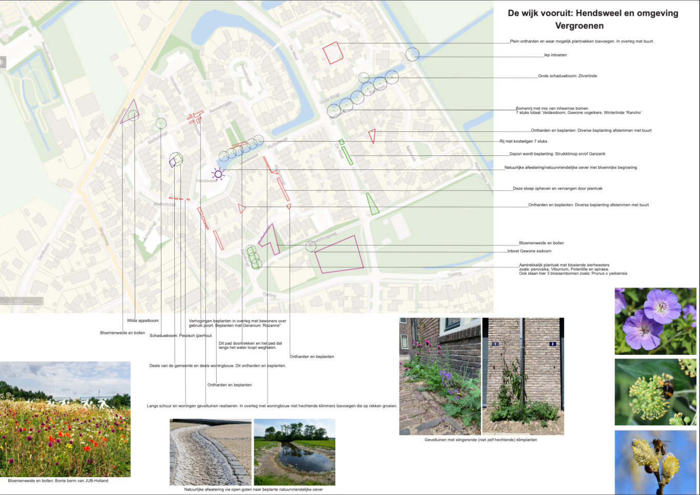 Met een kansenkaart overbodige verhardingen krijgt uw gemeente een beeld waar vergroent kan worden. In betrek er vervolgens buurtbewoners bi