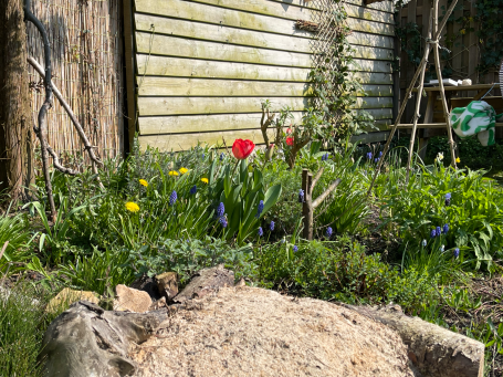 Een kleine ecologische tuin met veel inheemse planten een lange bloeiboog en een bijenburcht voor grondnestelende wilde bijen.
