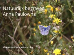 Een natuurbegraafplaats is een bijzonder stukje natuur dat gerealiseerd kan worden. Inheemse planten, doodhout en andere maatregelen helpen.