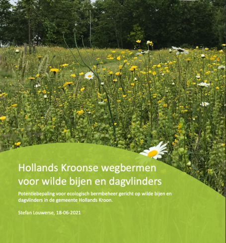 Beewilding heeft onderzoek gedaan naar welke bermen ecologisch het meest interessant zijn voor ecologisch en bijvriendelijk bermbeheer.