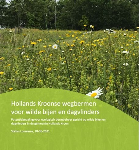 Beewilding heeft een adviesrapport geschreven voor bijvriendelijk en ecologisch bermbeheer in de gemeente Hollands Kroon