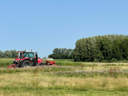 Beewilding maakt bermbeheer plannen voor ecologisch bermbeheer. Beewilding adviseert over de kleurkeur methodiek en meer natuur.