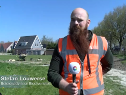 Stefan Louwerse is beleidsadviseur, groenadviseur en projectleider voor de natuur. Ik zet mij in voor een groener nederland met meer bijen.