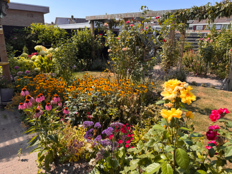 Een kleine biodiverse tuin kan een mooi habitat voor wilde bijen, hommels en vlinders zijn. Net als veel vogels! 