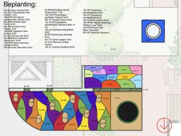 Een goed beplantingsplan maakt of kraakt een tuinontwerp. Planten zorgen voor bloemen, structuur, schaduw en beweging in een tuin