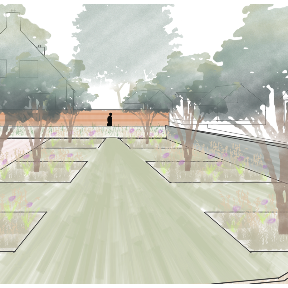 Een aanzichtstekening of doorsnede tekening geeft vaak een beter perspectief van uw nieuwe bijvriendelijke tuin.  