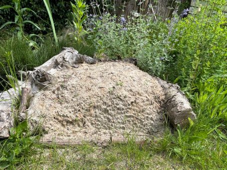 Een bijenburcht van leem is als een soort bijenhotel voor bodemnestelende wilde bijen en een leuk element voor een wilde tuin.