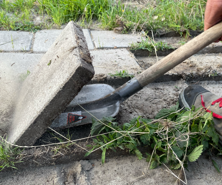 Beewilding helpt gemeente, overheden, bedrijven en particulieren met het creëren van een groene en natuurvriendelijke omgeving.