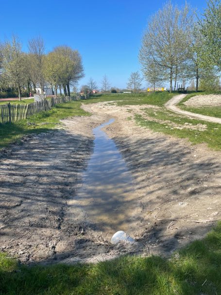 Een wadi zorgt voor meer klimaatadaptatie en kan ingezaaid worden met inheemse planten die aantrekkelijk zijn voor wilde bijen en vlinders.