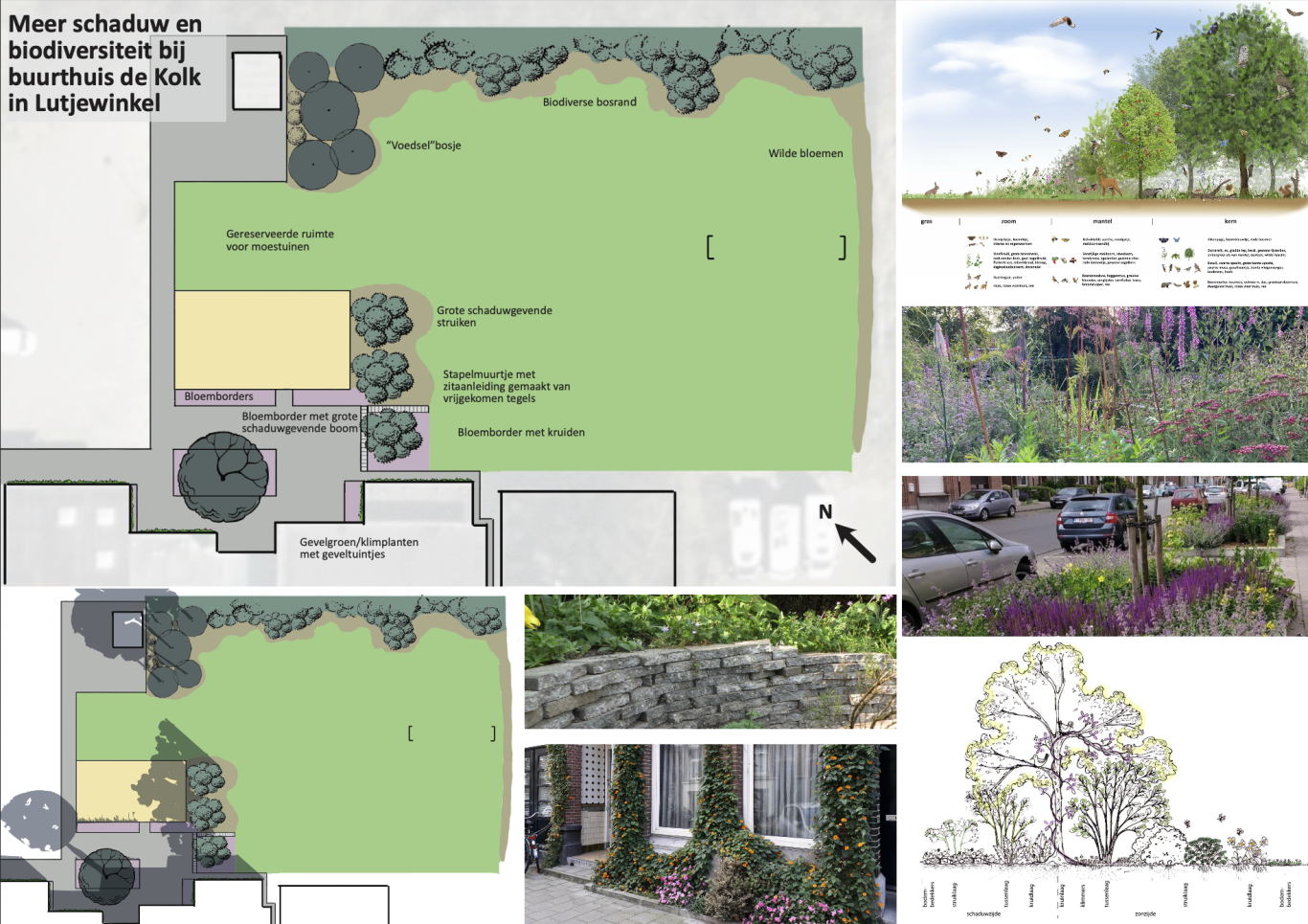 Een groenontwerp en beplantingsplan voor de buitenruimte van een buurthuis met veel eetbare en biodiverse planten.
