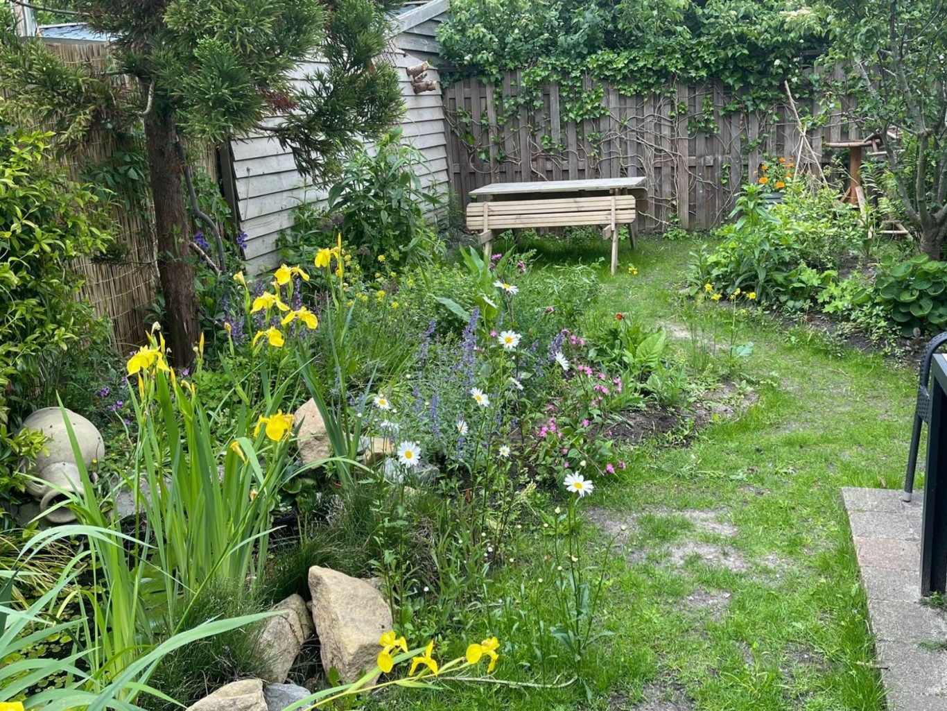 Kleine ecologische en bijvriendelijke achtertuin vol met inheemse planten een vijver en nestelgelegenheden voor wilde bijen.