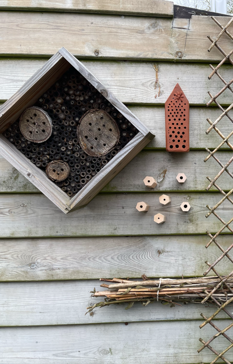 Beewilding helpt van jouw tuin een biodivers leefgebied te maken voor wilde bijen, vlinders, bestuivers en vogels.