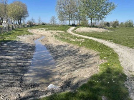 Beewilding heeft hier een wadi geadviseerd om water de bodem in te laten infiltreren en om inheemse planten in te zaaien voor meer bijen