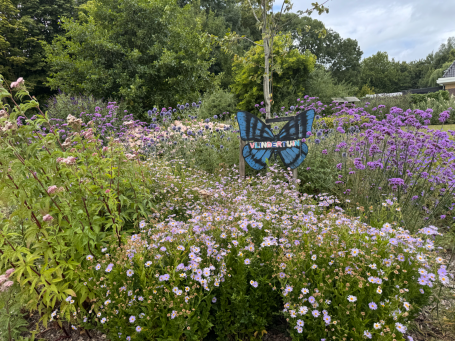 Deze vlindertuin is als buurtparticipatie project ontworpen en tot realisatie gebracht voor Beewilding en zorgt voor meer natuur in de buurt