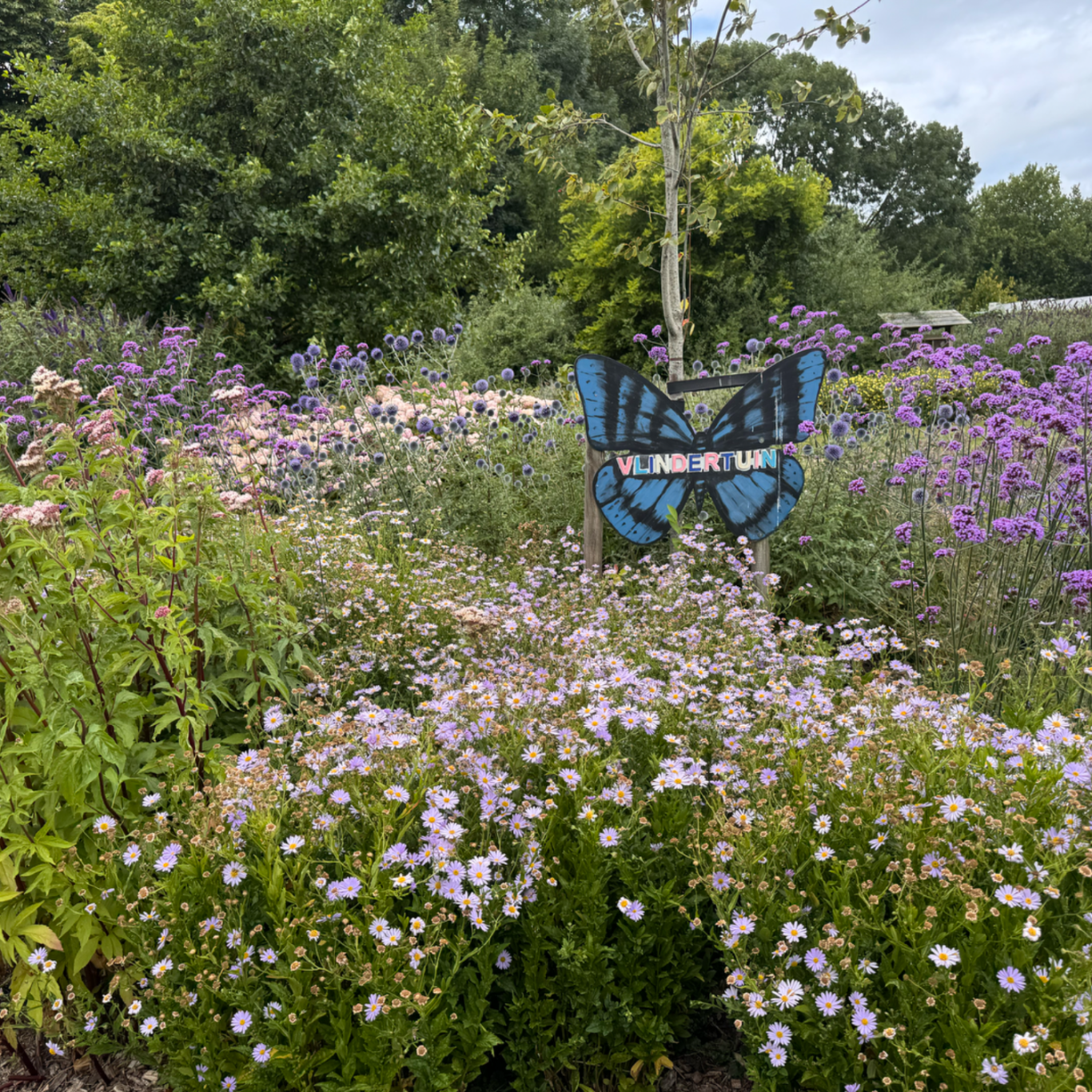 Met groene communicatie helpt Beewilding inwoners enthousiast te maken over natuurherstelprojecten.