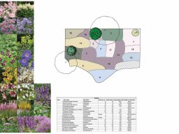 Met een beplantingsplan van Beewilding heb je jaarrond bloeiende planten en zoemende insecten in jouw tuin