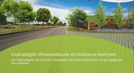 Met een inspiratiegids voor groene en klimaatadaptieve bedrijventerreinen hoop ik ondernemers te helpen met vergroenen van de buitenruimte.