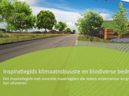 De inspiratiegids groene bedrijventerreinen en klimaatadaptieve bedrijventerreinen helpt ondernemers met vergroenen en steenbreek voor bijen